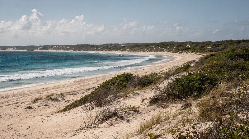 Costa Maya: die wilde Südküste von Quintana Roo