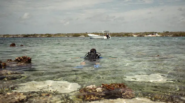 Cozumel