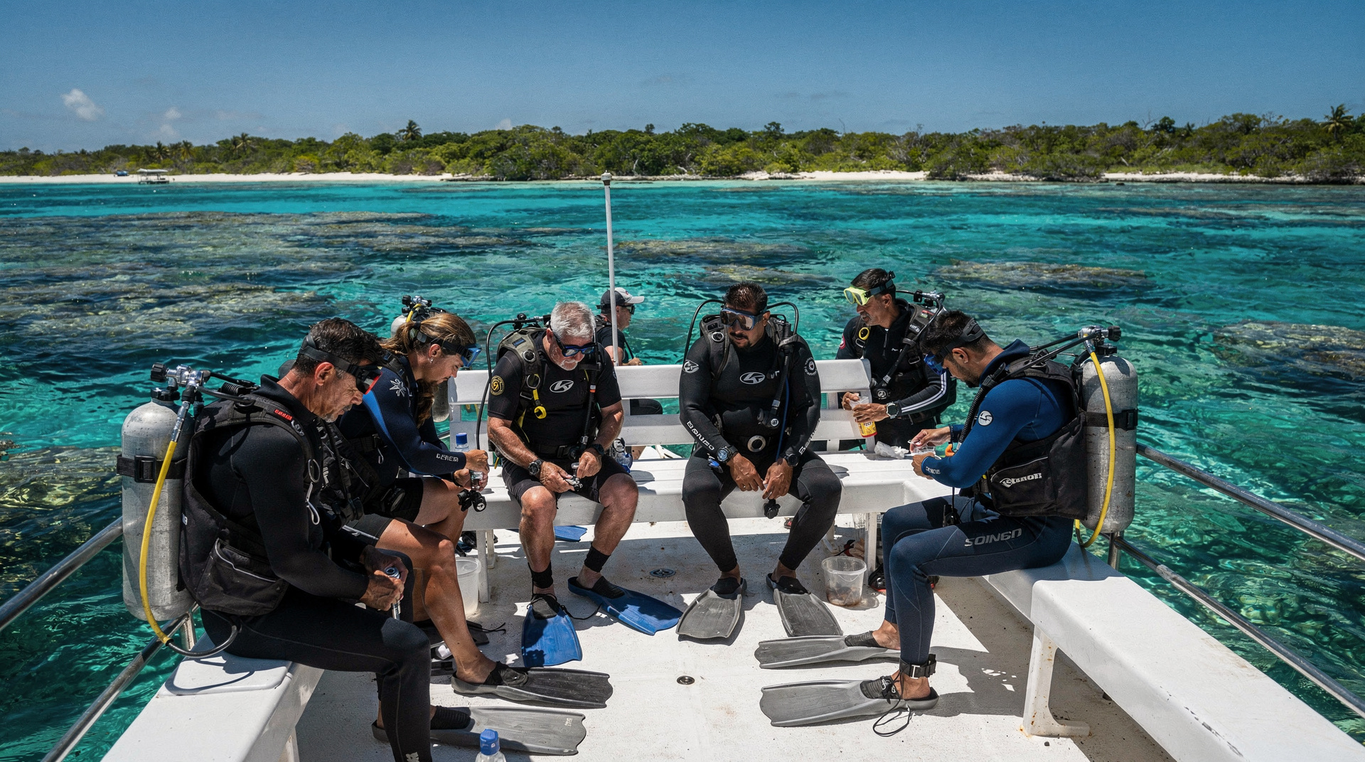 Cozumel Tauchguide: die Riffe, Kosten und wie man es plant
