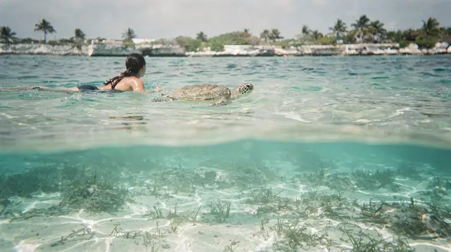 Cozumel